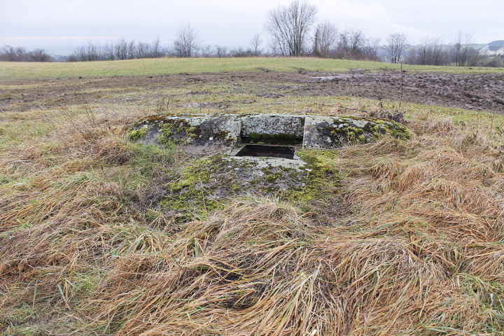 Ligne Maginot - MERRENRIED 4 - (Observatoire d'infanterie) -  - Christian LENHARD