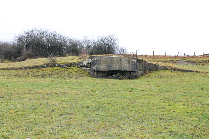 Ligne Maginot - MERRENRIED 5 - (Blockhaus pour canon) - Vue générale - Christian LENHARD