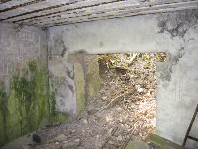 Ligne Maginot - MERRENRIED 5 - (Blockhaus pour canon) - L'entrée du canon - Christian LENHARD
