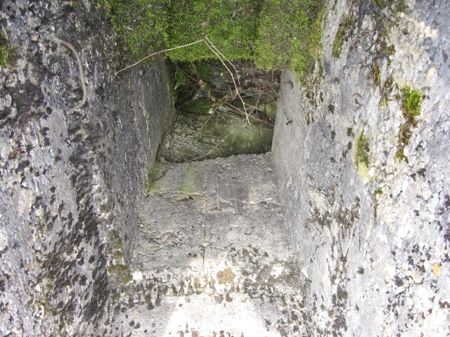 Ligne Maginot - MERRENRIED 5 - (Blockhaus pour canon) - L'accès au poste d'observation - Christian LENHARD