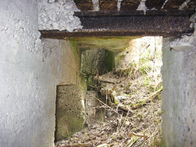 Ligne Maginot - MERRENRIED 5 - (Blockhaus pour canon) - L'accès au poste d'observation - Christian LENHARD