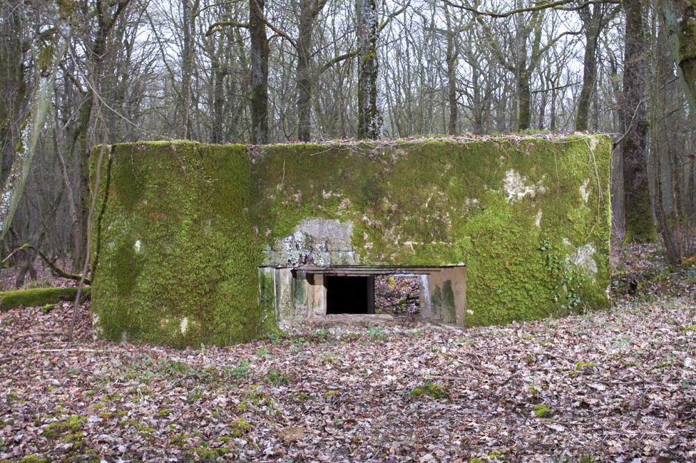 Ligne Maginot - CB303 - KANFENER BUSCH 3 - (Blockhaus pour canon) -  - www.arnaultjl-photo.com