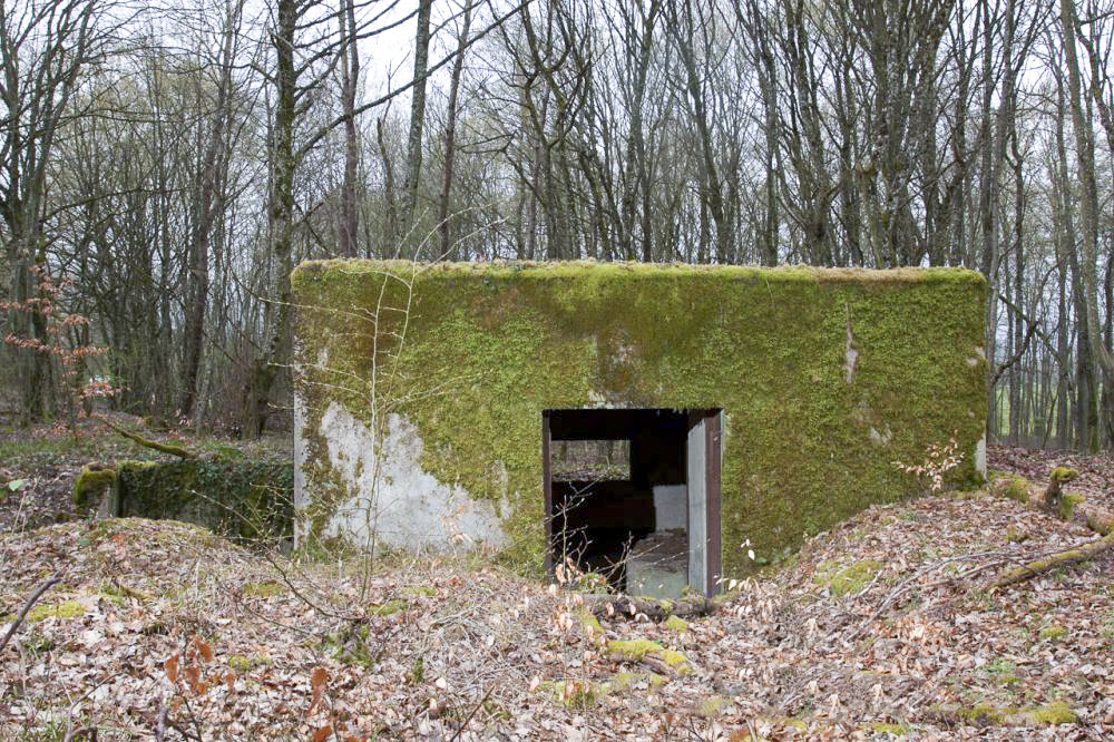 Ligne Maginot - CB303 - KANFENER BUSCH 3 - (Blockhaus pour canon) -  - www.arnaultjl-photo.com