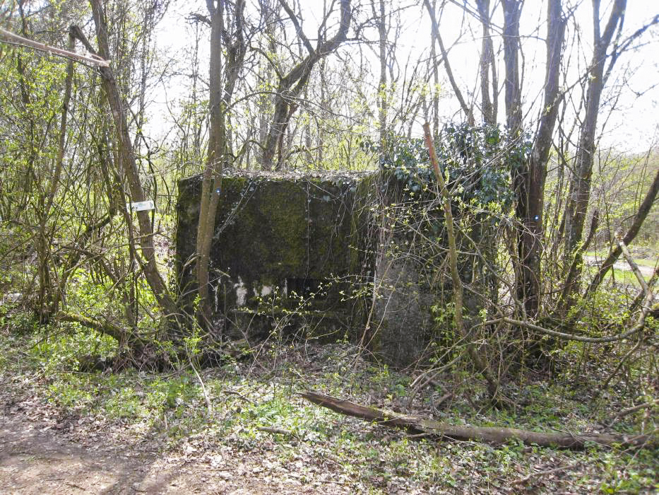 Ligne Maginot - CB318 - GINSKLOPP EST - (Blockhaus pour arme infanterie) -  - Pruzsina jerome