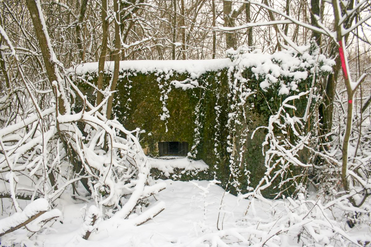 Ligne Maginot - CB318 - GINSKLOPP EST - (Blockhaus pour arme infanterie) - Vue frontale du blockhaus en hiver - Michel Teiten