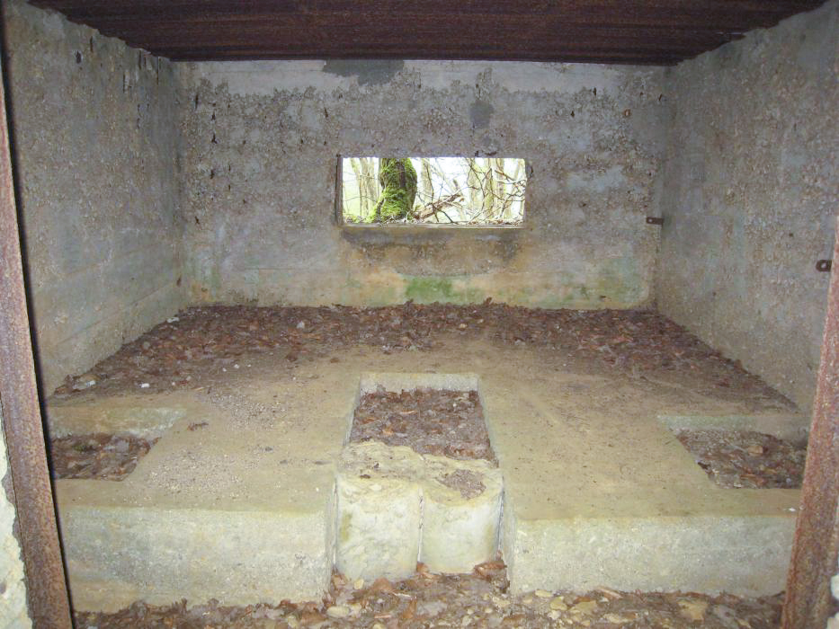 Ligne Maginot - CB333 - BOIS DE LA TIEFKEIL NORD - (Blockhaus pour canon) -  - Pruzsina jerome