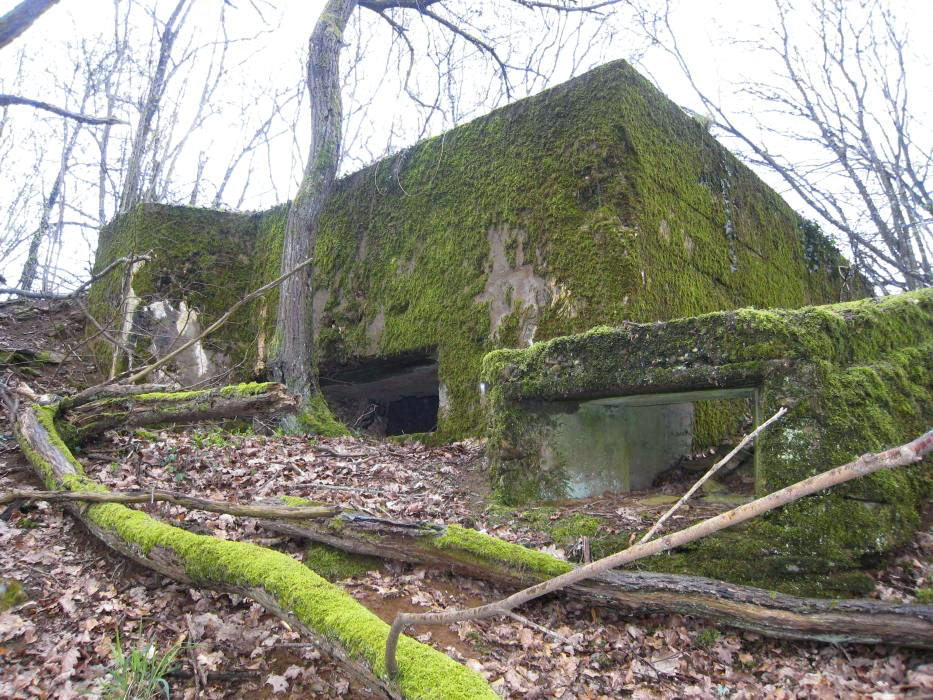 Ligne Maginot - CB333 - BOIS DE LA TIEFKEIL NORD - (Blockhaus pour canon) -  - Pruzsina jerome