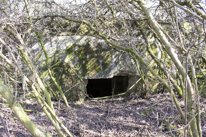 Ligne Maginot - NEUWIESE 3 - (Blockhaus pour arme infanterie) - Façade de tir - Christian LENHARD