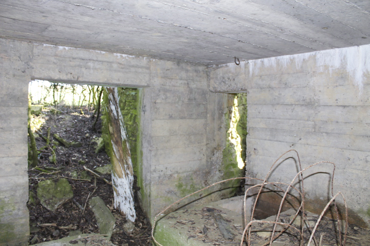 Ligne Maginot - NEUWIESE 2 - (Blockhaus pour canon) - Les entrées - Christian LENHARD