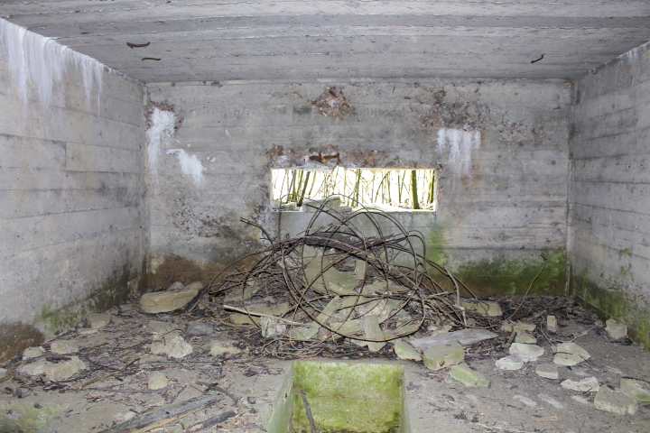 Ligne Maginot - NEUWIESE 2 - (Blockhaus pour canon) - Le créneau - Christian LENHARD
