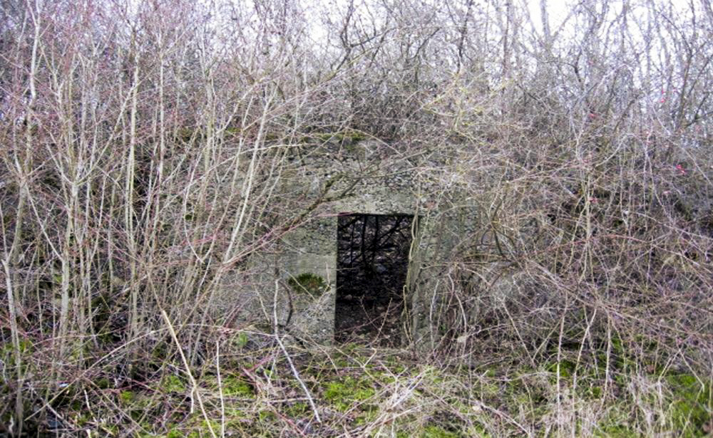 Ligne Maginot - OLFERDINGER 4BIS - (Abri) - Façade arrière - Christian LENHARD