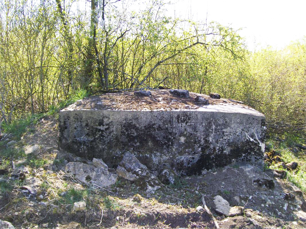 Ligne Maginot - OLFERDINGER 2 - (Blockhaus pour arme infanterie) -  - KOLSCH Fred