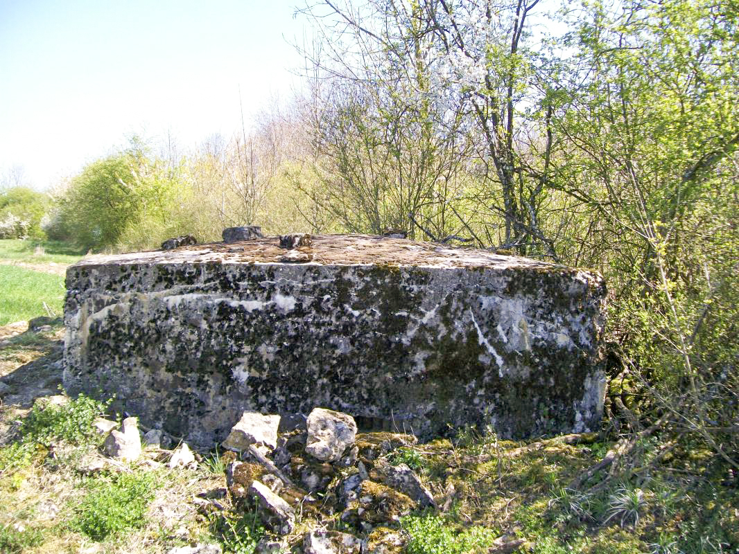 Ligne Maginot - OLFERDINGER 2 - (Blockhaus pour arme infanterie) -  - KOLSCH Fred