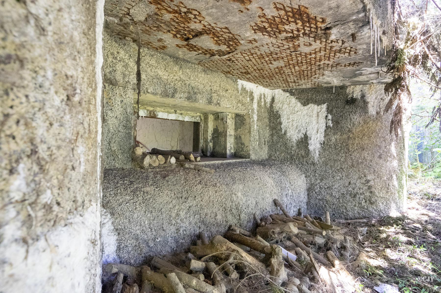 Ligne Maginot - B287 - GRIMONPONT SUD - (Blockhaus pour canon) - La façade - Lia VERMEULEN