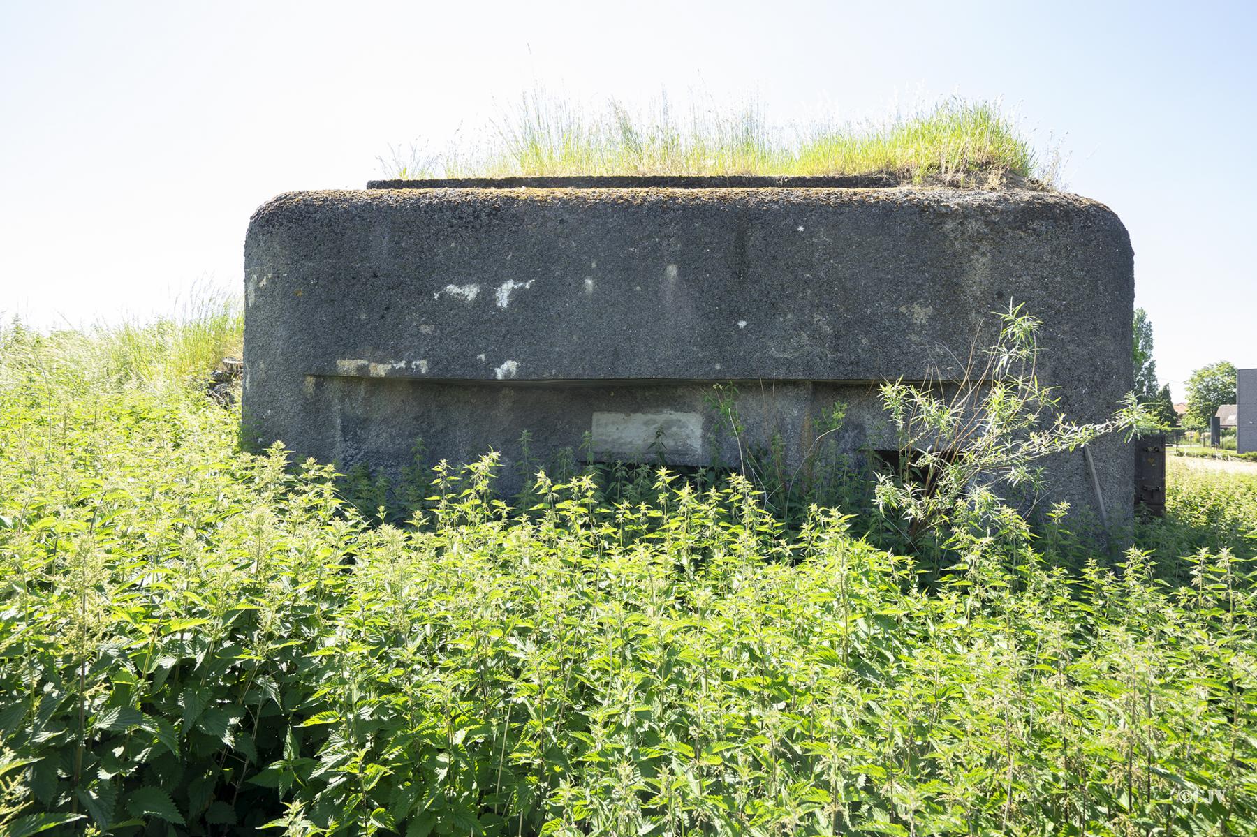 Ligne Maginot - B296 - CHAPELLE MADAME - (Blockhaus pour canon) - La façade de tir - Lia VERMEULEN