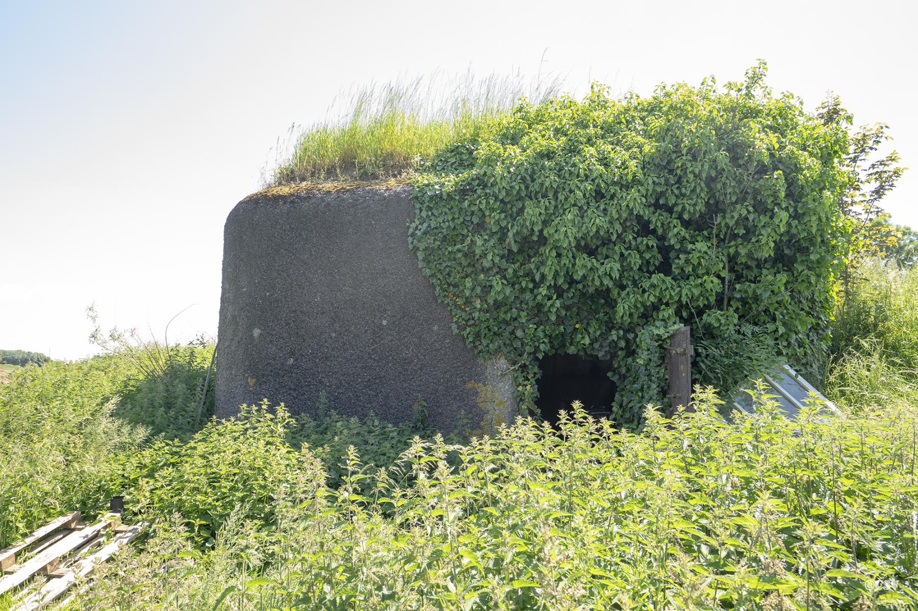 Ligne Maginot - B296 - CHAPELLE MADAME - (Blockhaus pour canon) - L'entrée - Lia VERMEULEN