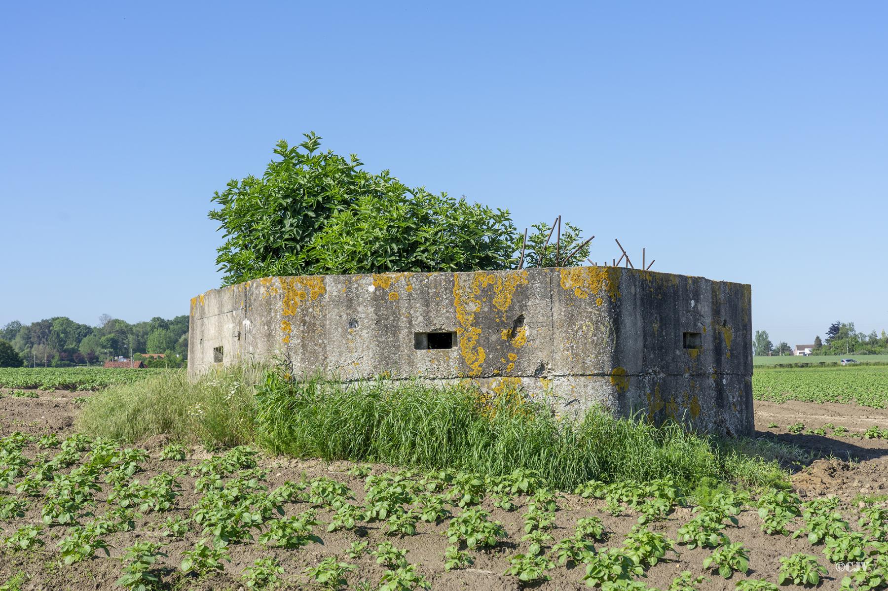 Ligne Maginot - BEF 272 - DRONKAERT NORD 1 - (Blockhaus pour arme infanterie) - Les trois créneaux - Lia VERMEULEN