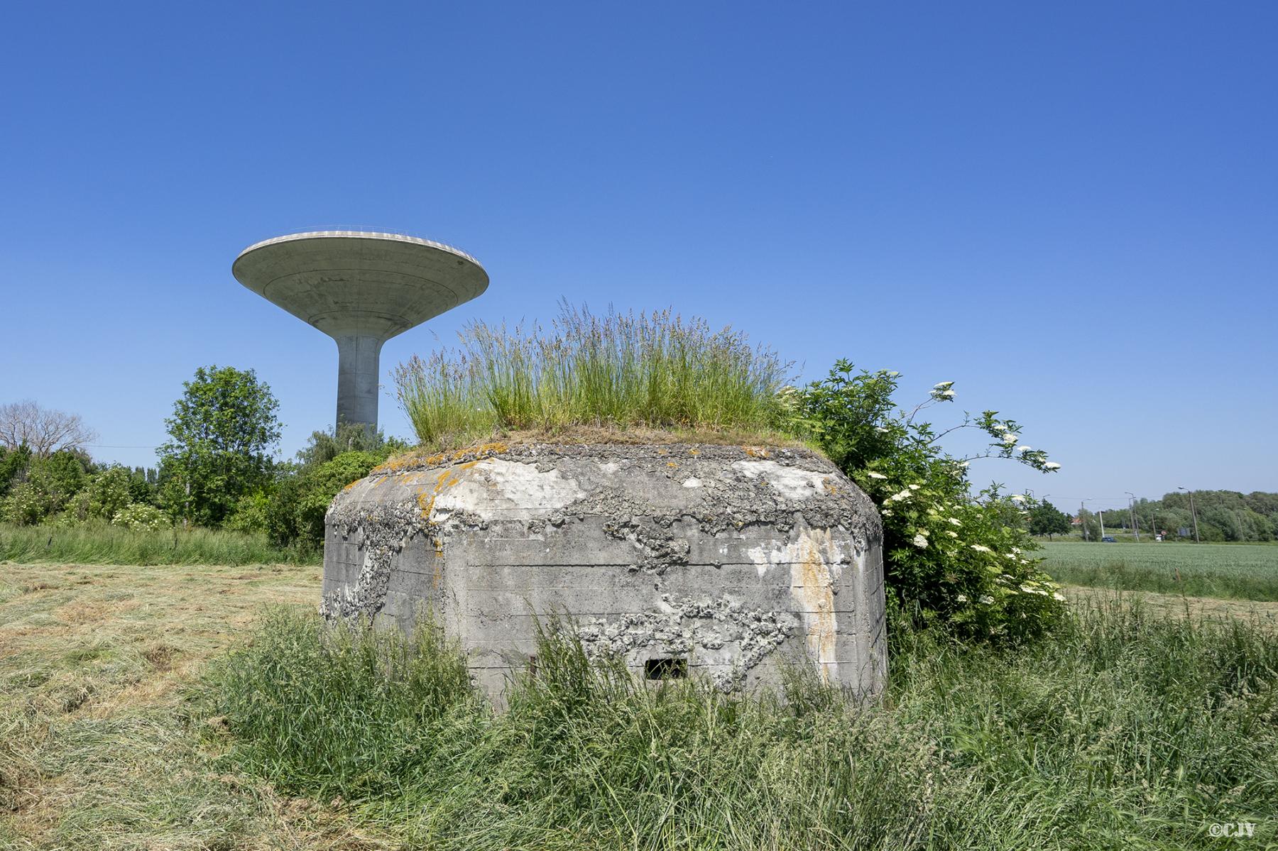 Ligne Maginot - BEF 691 - GAUQUIER EST - (Blockhaus pour arme infanterie) - Le créneau vers le Sud-Est - Lia VERMEULEN
