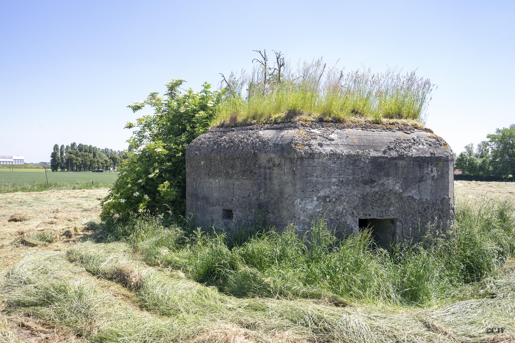 Ligne Maginot - BEF 691 - GAUQUIER EST - (Blockhaus pour arme infanterie) - Créneau vers le Nord-Ouest et l'entrée - Lia VERMEULEN