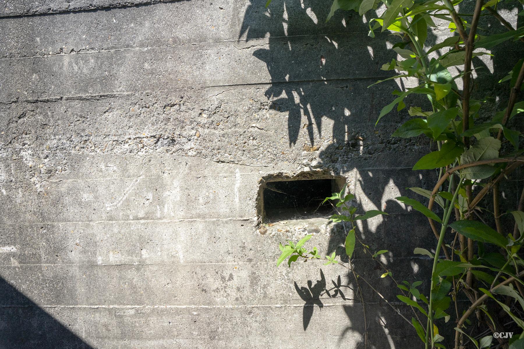 Ligne Maginot - BEF 695 - LA MARTINOIRE SUD - (Blockhaus pour arme infanterie) - Le deuxième créneau - Lia VERMEULEN