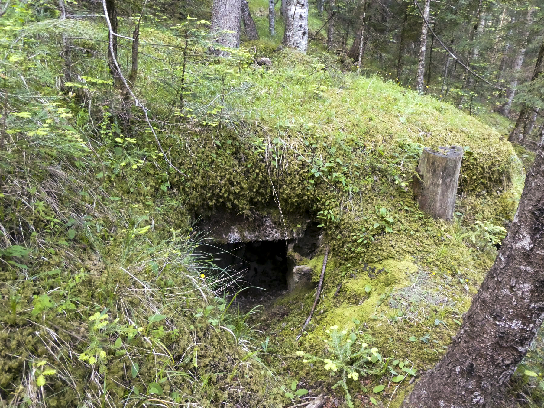 Ligne Maginot - BOIS NOIR 4 - (Blockhaus pour arme infanterie) -  - ELLENA - CUNY