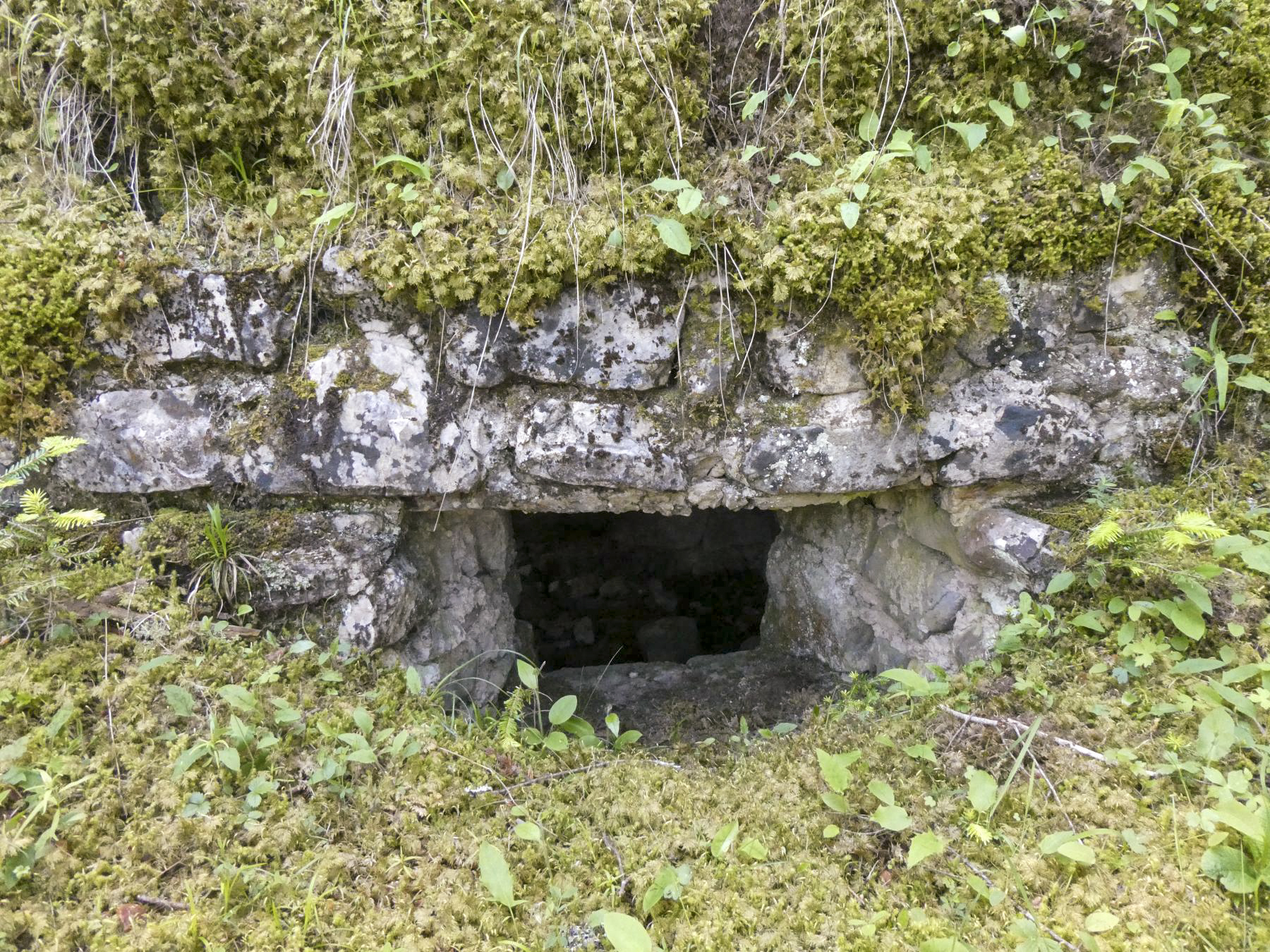 Ligne Maginot - BOIS NOIR 4 - (Blockhaus pour arme infanterie) -  - ELLENA - CUNY