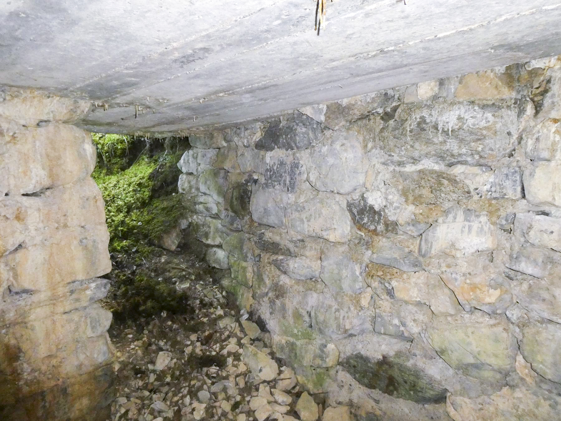 Ligne Maginot - BOIS NOIR 4 - (Blockhaus pour arme infanterie) -  - ELLENA - CUNY