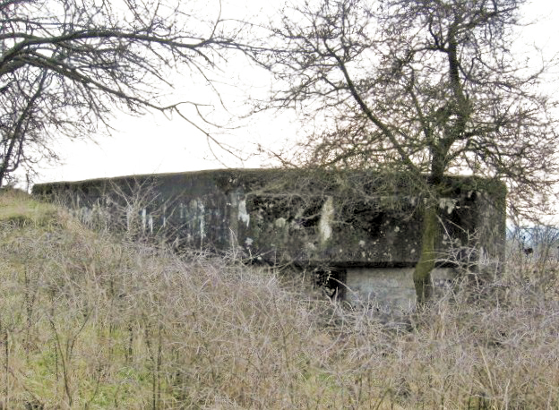Ligne Maginot - POUHL - (Blockhaus pour arme infanterie) - Façade de tir - Christian LENHARD