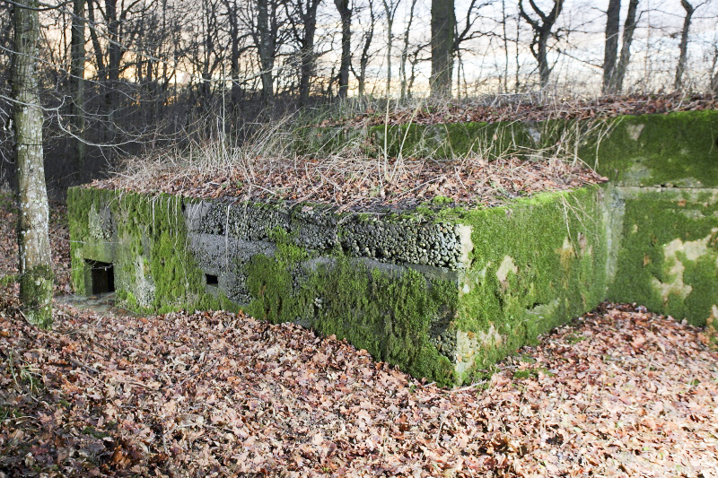 Ligne Maginot - CB226 - BOIS DE CATTENOM 02 - (Blockhaus pour arme infanterie) - La petite annexe - www.arnaultjl-photo.com