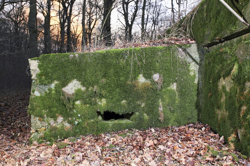 Ligne Maginot - CB226 - BOIS DE CATTENOM 02 - (Blockhaus pour arme infanterie) - La petite annexe. - www.arnaultjl-photo.com