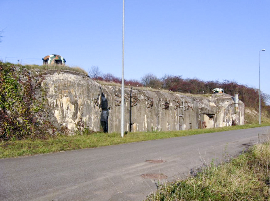 Ligne Maginot - ROHRBACH (2° CEC - 166° RIF) - (Abri) - Vue générale - Christian LENHARD