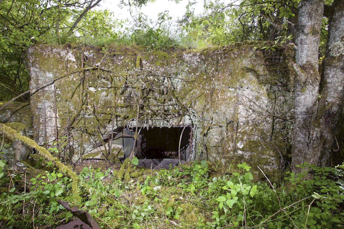 Ligne Maginot - Cb10ter - SCHUMACHERBERG (Blockhaus pour arme infanterie) -  - Arnault JL Photo
