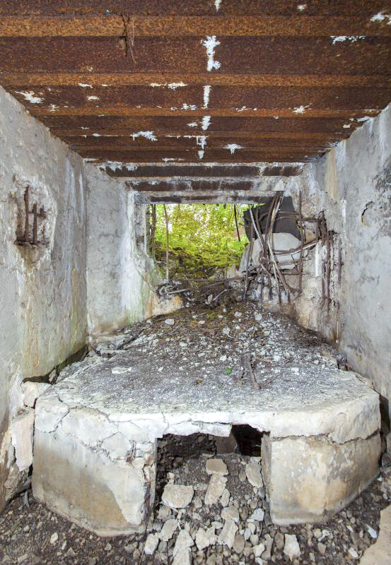 Ligne Maginot - Cb10ter - SCHUMACHERBERG (Blockhaus pour arme infanterie) -  - Arnault JL Photo