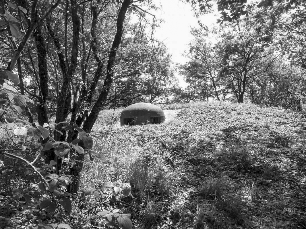 Ligne Maginot - ROUTE DU LUXEMBOURG - O10 - (Observatoire d'artillerie) -  - Sylvie Laure LAMBERT