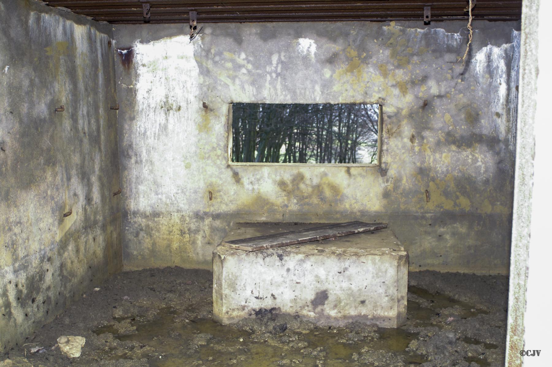 Ligne Maginot - CB116 - SONNENBERG 01 - (Blockhaus pour canon) -  - Lia VERMEULEN
