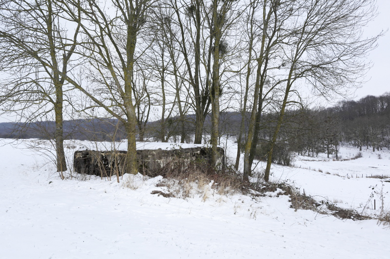 Ligne Maginot - CB110 - FELSEN - (Blockhaus pour canon) - Vue générale
En arrière plan, la route menant aux entrées de l'ouvrage du Galgenberg. - www.arnaultjl-photo.com