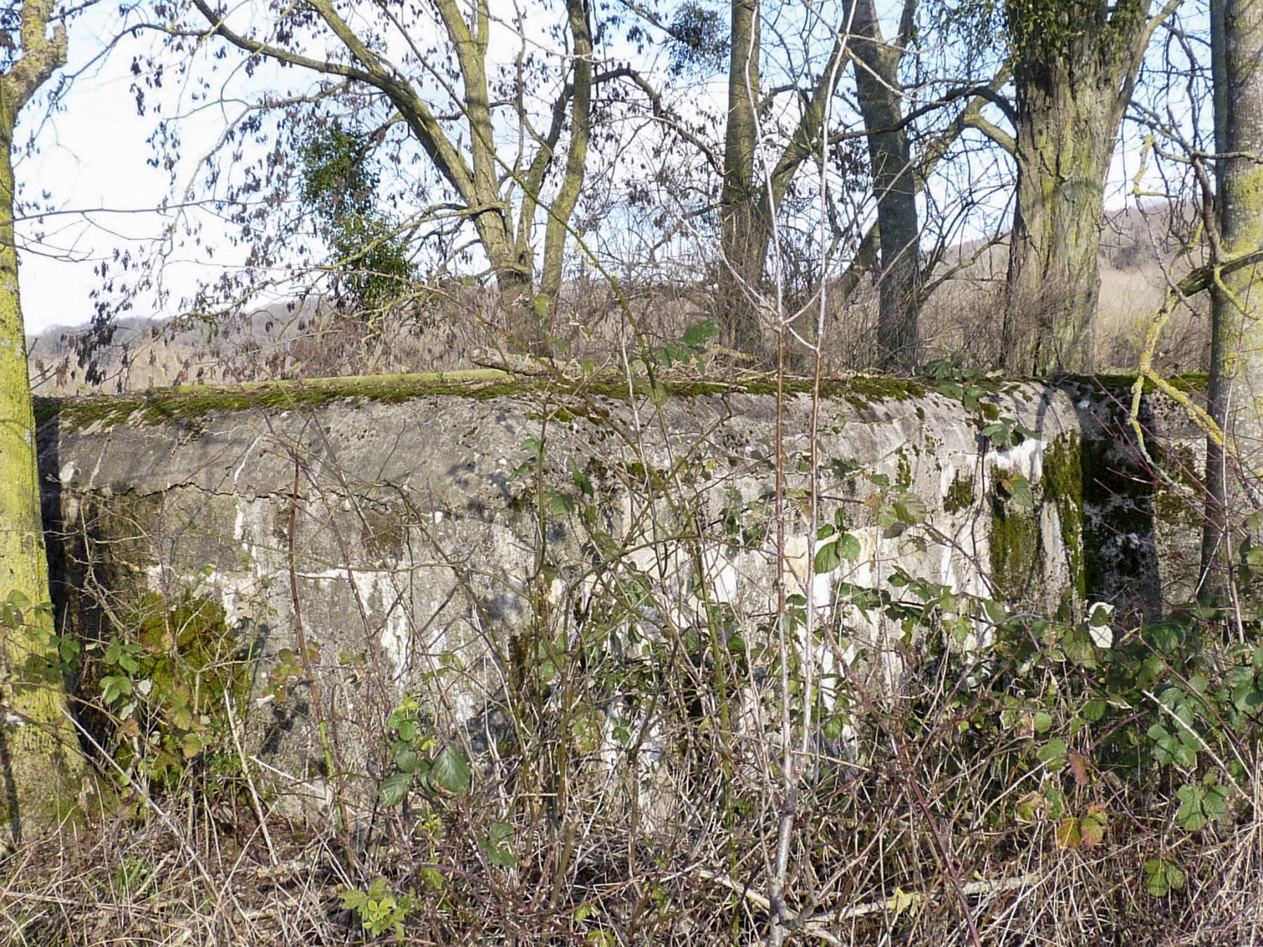 Ligne Maginot - CB110 - FELSEN - (Blockhaus pour canon) -  - Sylvie Laure LAMBERT