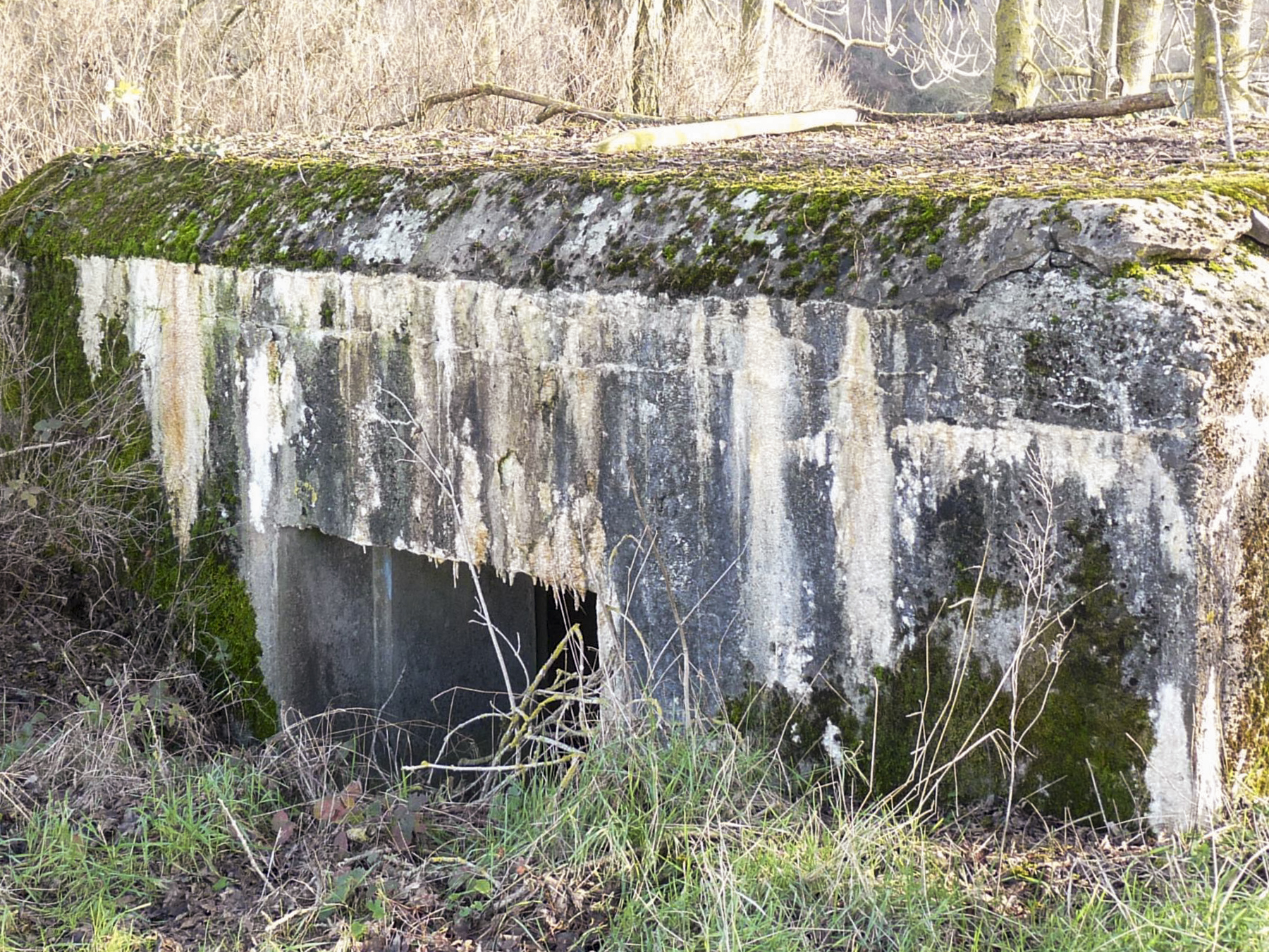 Ligne Maginot - CB110 - FELSEN - (Blockhaus pour canon) - L'entrée pour la pièce antichar - Sylvie Laure LAMBERT
