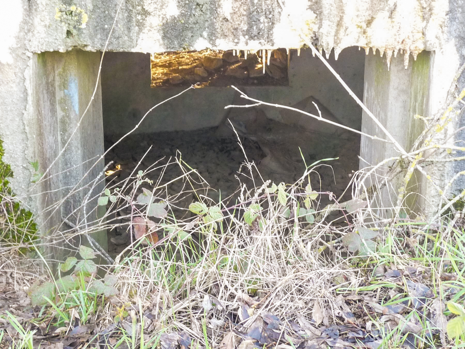 Ligne Maginot - CB110 - FELSEN - (Blockhaus pour canon) - L'entrée pour la pièce antichar - Sylvie Laure LAMBERT
