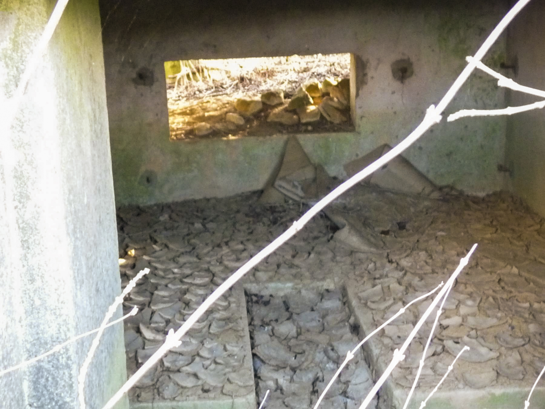 Ligne Maginot - CB110 - FELSEN - (Blockhaus pour canon) -  - Sylvie Laure LAMBERT