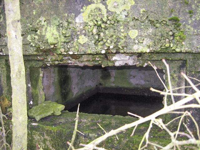 Ligne Maginot - SALWALD 1 - (Blockhaus pour arme infanterie) - Créneau mitrailleuse - Christian LENHARD