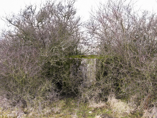 Ligne Maginot - SALWALD 1 - (Blockhaus pour arme infanterie) - Façade arrière - Christian LENHARD
