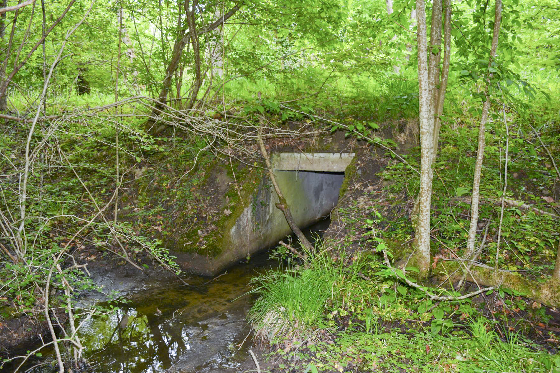 Ligne Maginot - VF60 - ANTENNE DE L'OUVRAGE DU HOCHWALD - (RESEAU - Voie 60 - Antenne ou rocade ferroviaire) - 5 - PONT SUR LE BRUEDELBAECHEL - Pascal Lambert