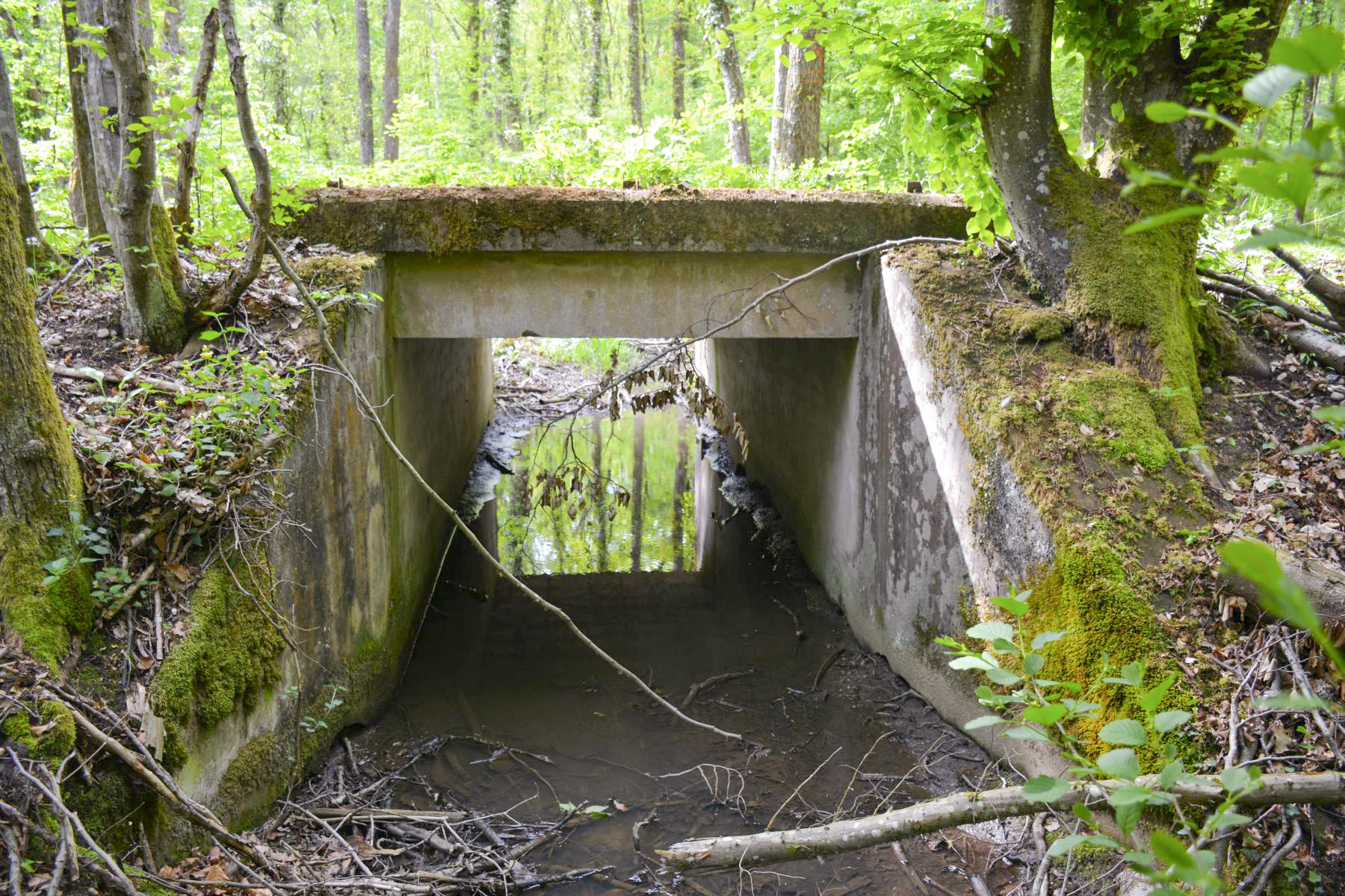 Ligne Maginot - VF60 - ANTENNE DE L'OUVRAGE DU HOCHWALD - (RESEAU - Voie 60 - Antenne ou rocade ferroviaire) - 6 - PONT SUR LE GEFAELLBAECHEL 1
Le pont sur le ruisseau - Pascal Lambert