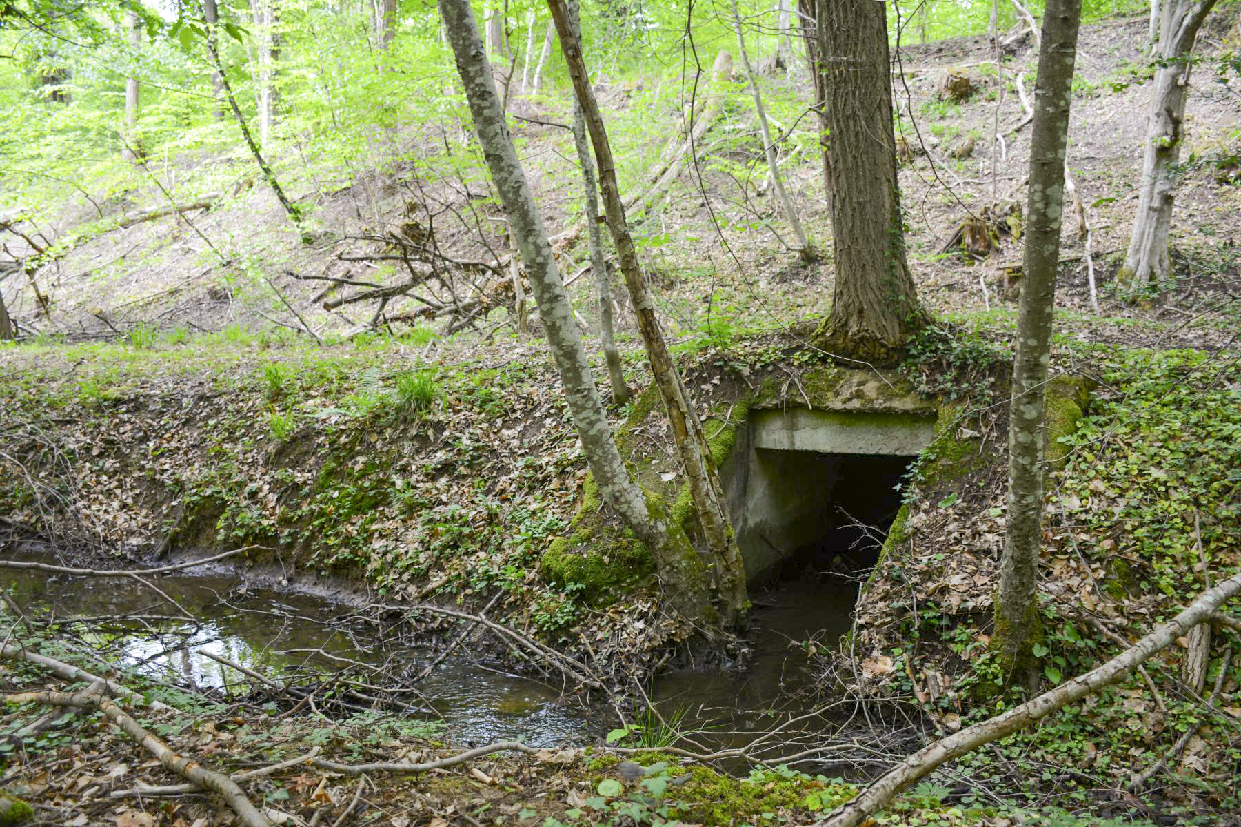 Ligne Maginot - VF60 - ANTENNE DE L'OUVRAGE DU HOCHWALD - (RESEAU - Voie 60 - Antenne ou rocade ferroviaire) - 7 - PONT SUR LE GEFAELLBAECHEL 2 - Pascal Lambert