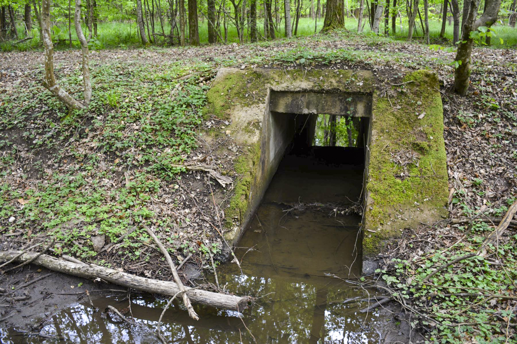 Ligne Maginot - VF60 - ANTENNE DE L'OUVRAGE DU HOCHWALD - (RESEAU - Voie 60 - Antenne ou rocade ferroviaire) - 7 - PONT SUR LE GEFAELLBAECHEL 2 - Pascal Lambert
