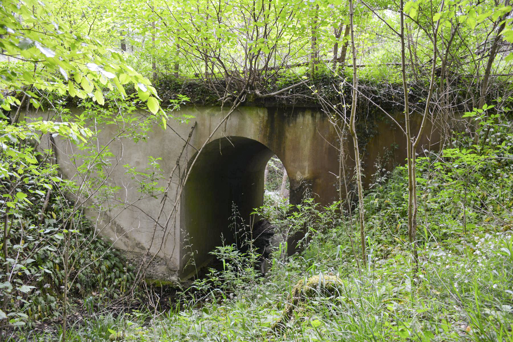 Ligne Maginot - VF60 - ANTENNE DE L'OUVRAGE DU HOCHWALD - (RESEAU - Voie 60 - Antenne ou rocade ferroviaire) - 2 - PONT SUR L'EICHELGRABEN
Le pont est toujours utilisé par le chemin ayant remplacé la V60.
Seules les rambardes ont disparu - Pascal Lambert