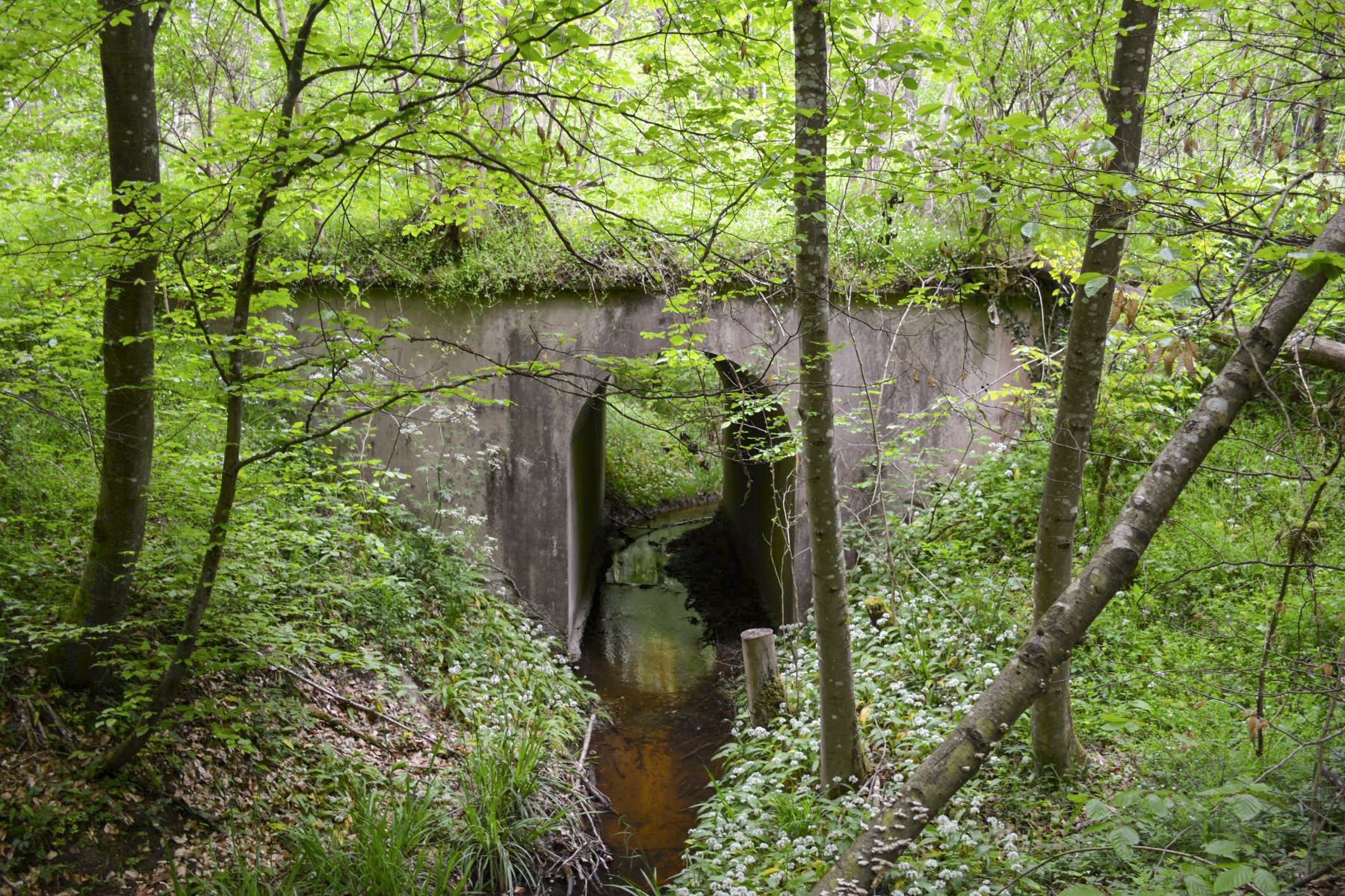 Ligne Maginot - VF60 - ANTENNE DE L'OUVRAGE DU HOCHWALD - (RESEAU - Voie 60 - Antenne ou rocade ferroviaire) - 2 - PONT SUR L'EICHELGRABEN
Le pont est toujours utilisé par le chemin ayant remplacé la V60.
Seules les rambardes ont disparu - Pascal Lambert