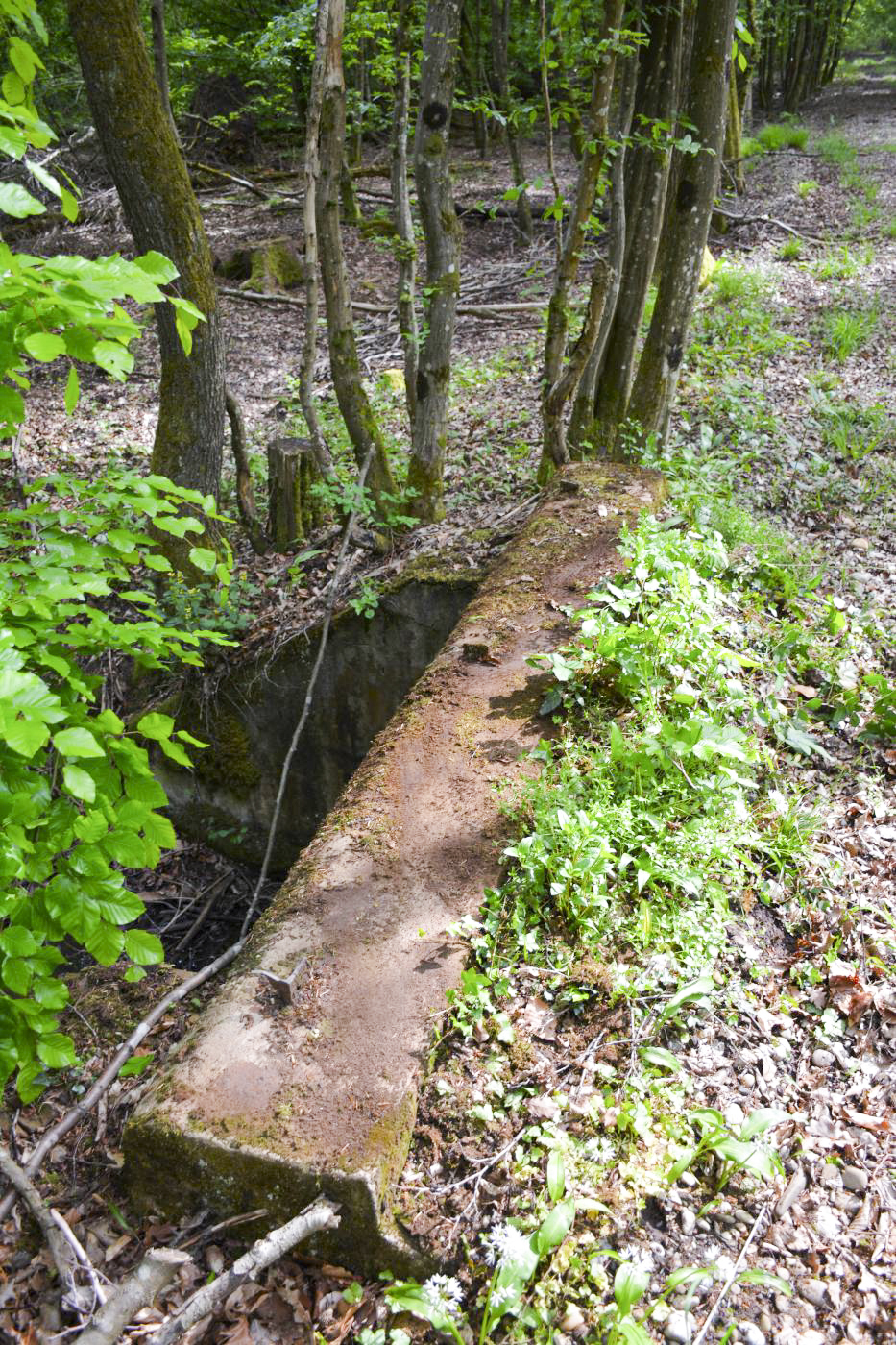 Ligne Maginot - VF60 - ANTENNE DE L'OUVRAGE DU HOCHWALD - (RESEAU - Voie 60 - Antenne ou rocade ferroviaire) - 6 - PONT SUR LE GEFAELLBAECHEL 1
L'une des margelles du pont où ne subsistent que les traces des rambardes métalliques installées à l'origine - Pascal Lambert
