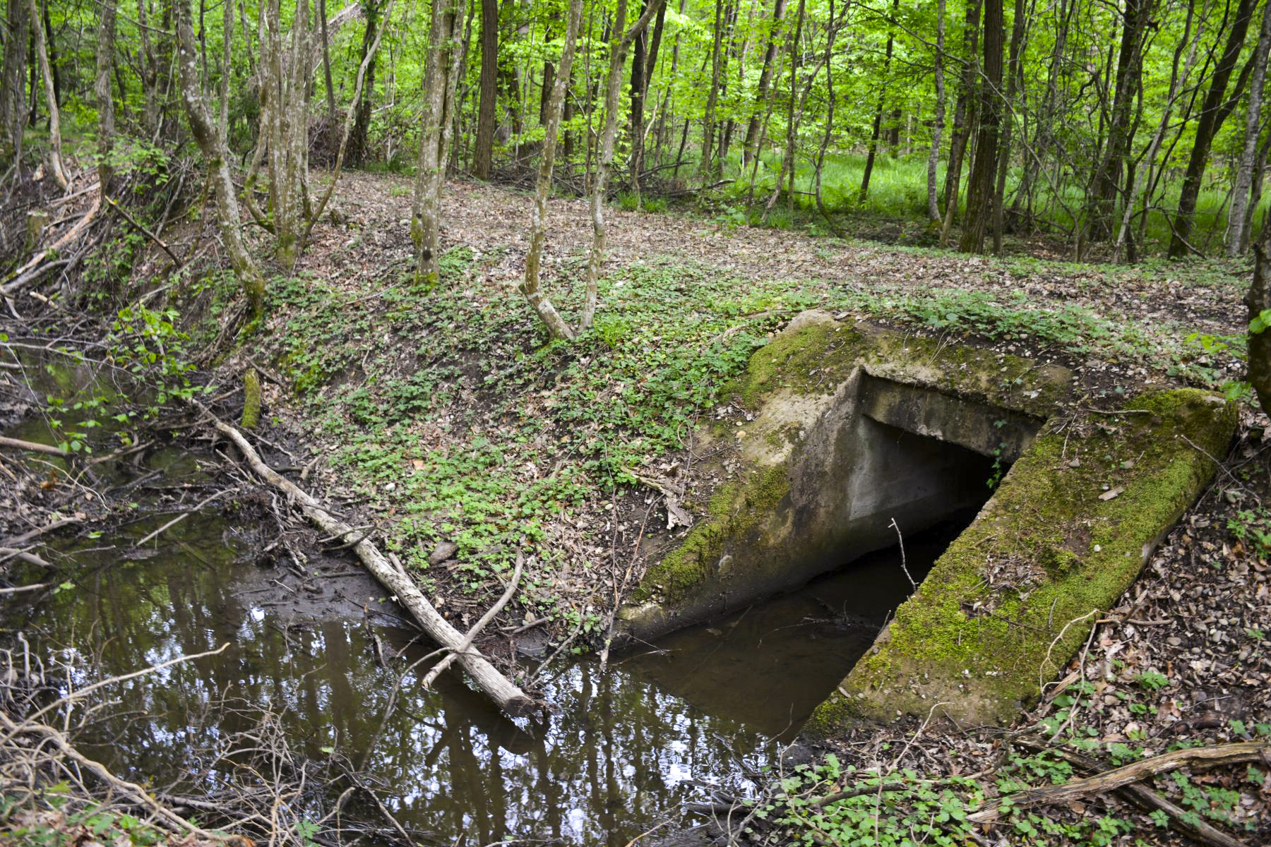Ligne Maginot - VF60 - ANTENNE DE L'OUVRAGE DU HOCHWALD - (RESEAU - Voie 60 - Antenne ou rocade ferroviaire) - 7 - PONT SUR LE GEFAELLBAECHEL 2 - Pascal Lambert